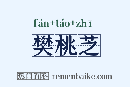 樊桃芝是什么意思的图片